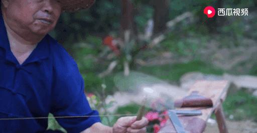 西瓜视频独家签约创作人阿木爷爷,被央视新闻联播点赞了