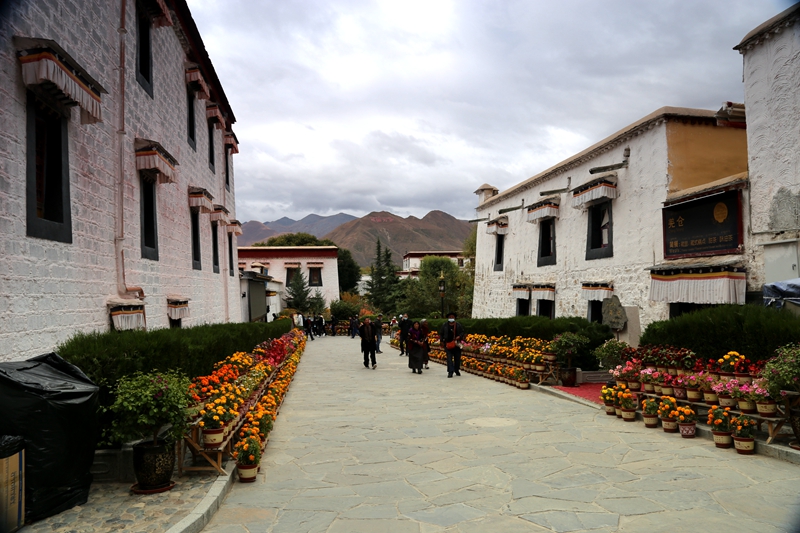 比天空更辽阔比白云更洁净比佛国更妩媚珠峰脚下的游记十