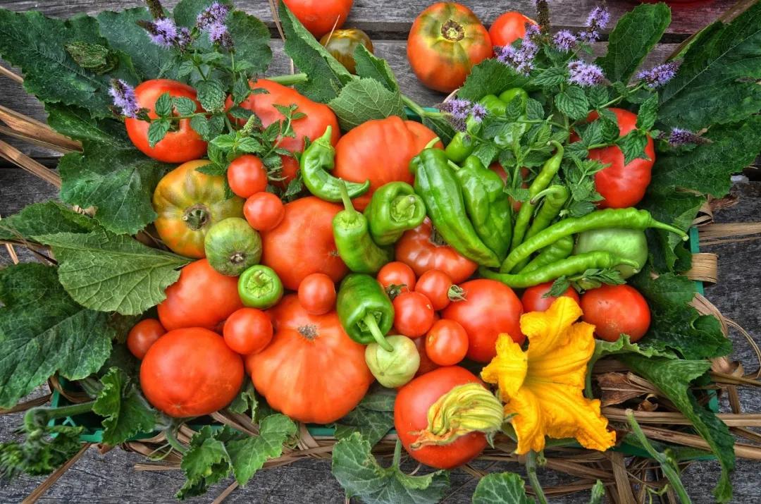 封控区里的志愿者,封控疫情志愿者