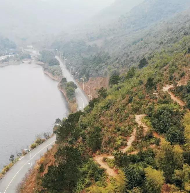 重阳登高观美景视频,重阳登高爬山视频