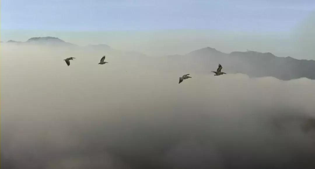 小人物编年史,小人物的真实历史