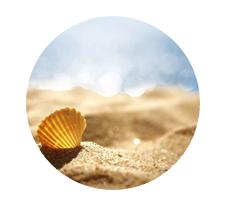 北海候鸟最多的地方,广西北海候鸟过冬最近新视频