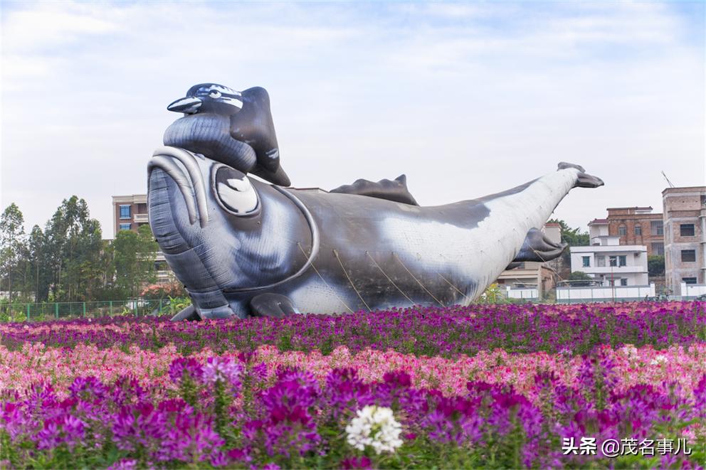 茂名美丽乡村风景,广东茂名美丽乡村