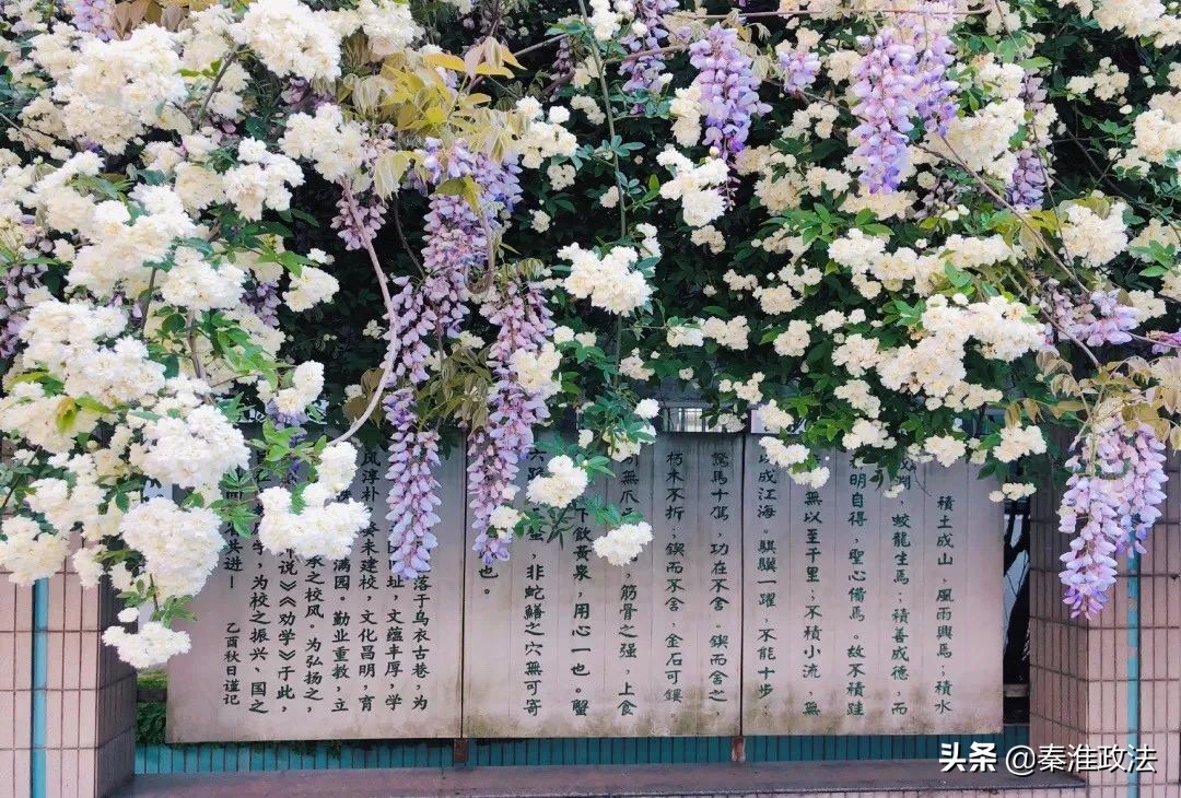 南京第二十七中和秦淮高中哪个好,南京市秦淮高中