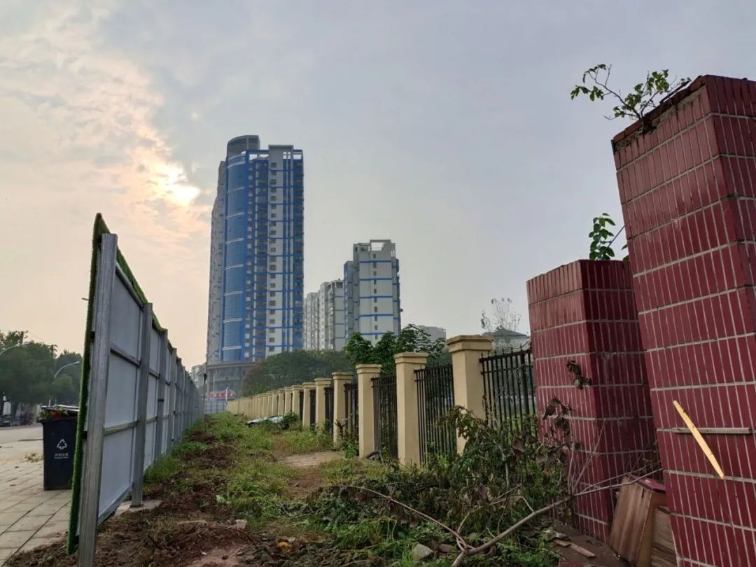 厉害了大湾区,厉害了大中国