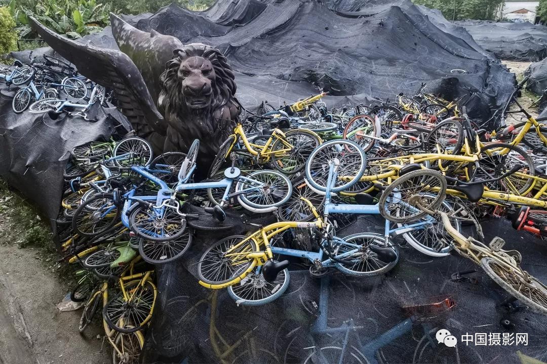 第七届全国摄影十杰获奖者,中国摄影年度人物排名