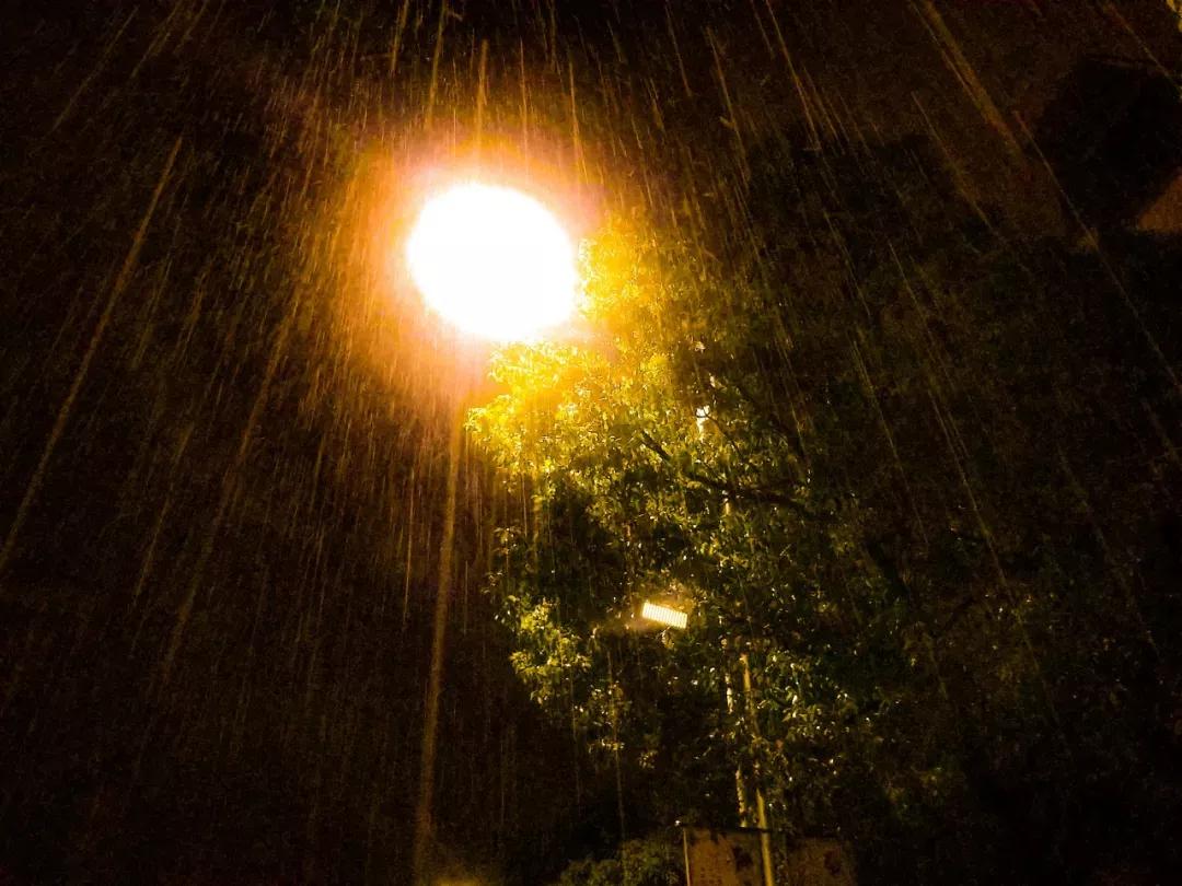 江苏财经大学,南京财经大学双非院校排名