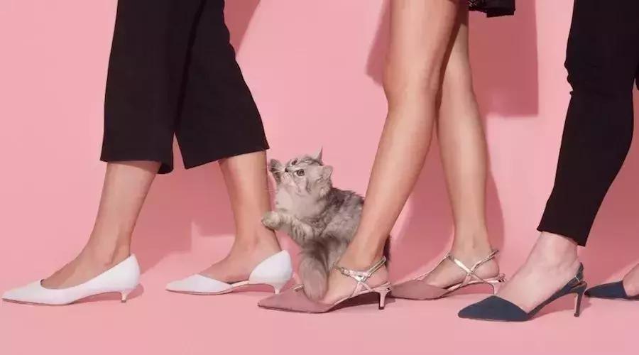 今年最火的10款单鞋,2021春季必买十款女单鞋