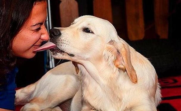 狗狗总是舔靠近尾巴的地方,狗狗不停的舔身上的毛是怎么回事