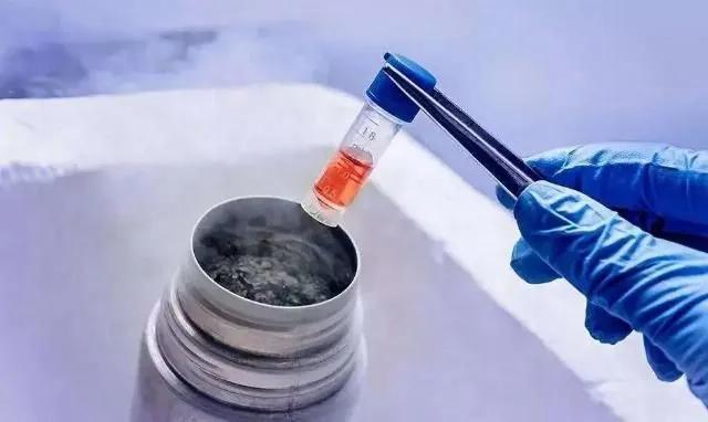 女性为什么不能冻卵,女性冻卵的危害及建议