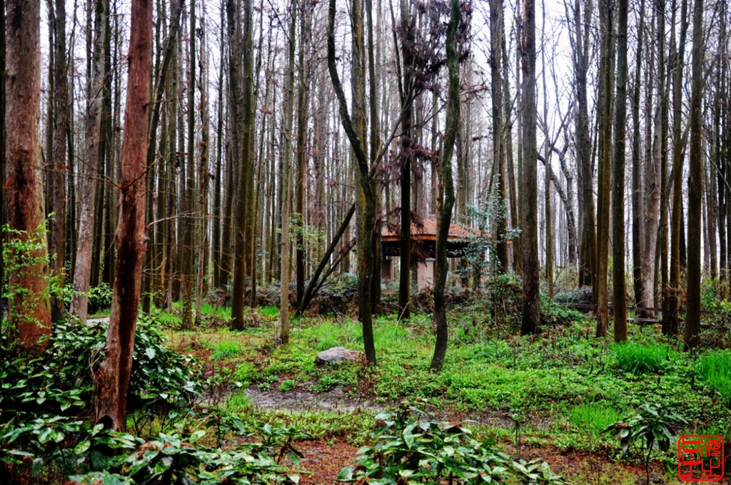 浙江母亲河钱塘江,浙江台州春风