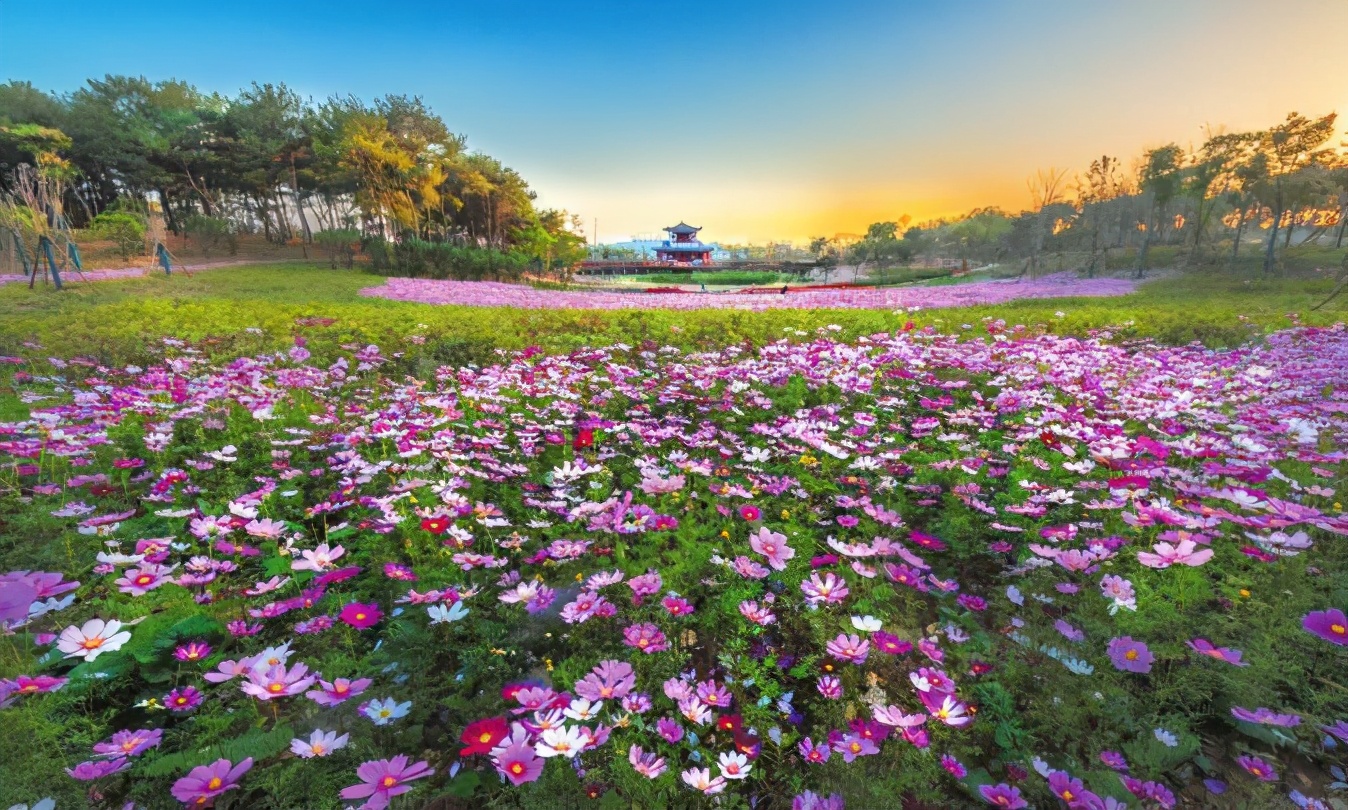 广水科技创新赋能高质量发展,广水市发展和改革