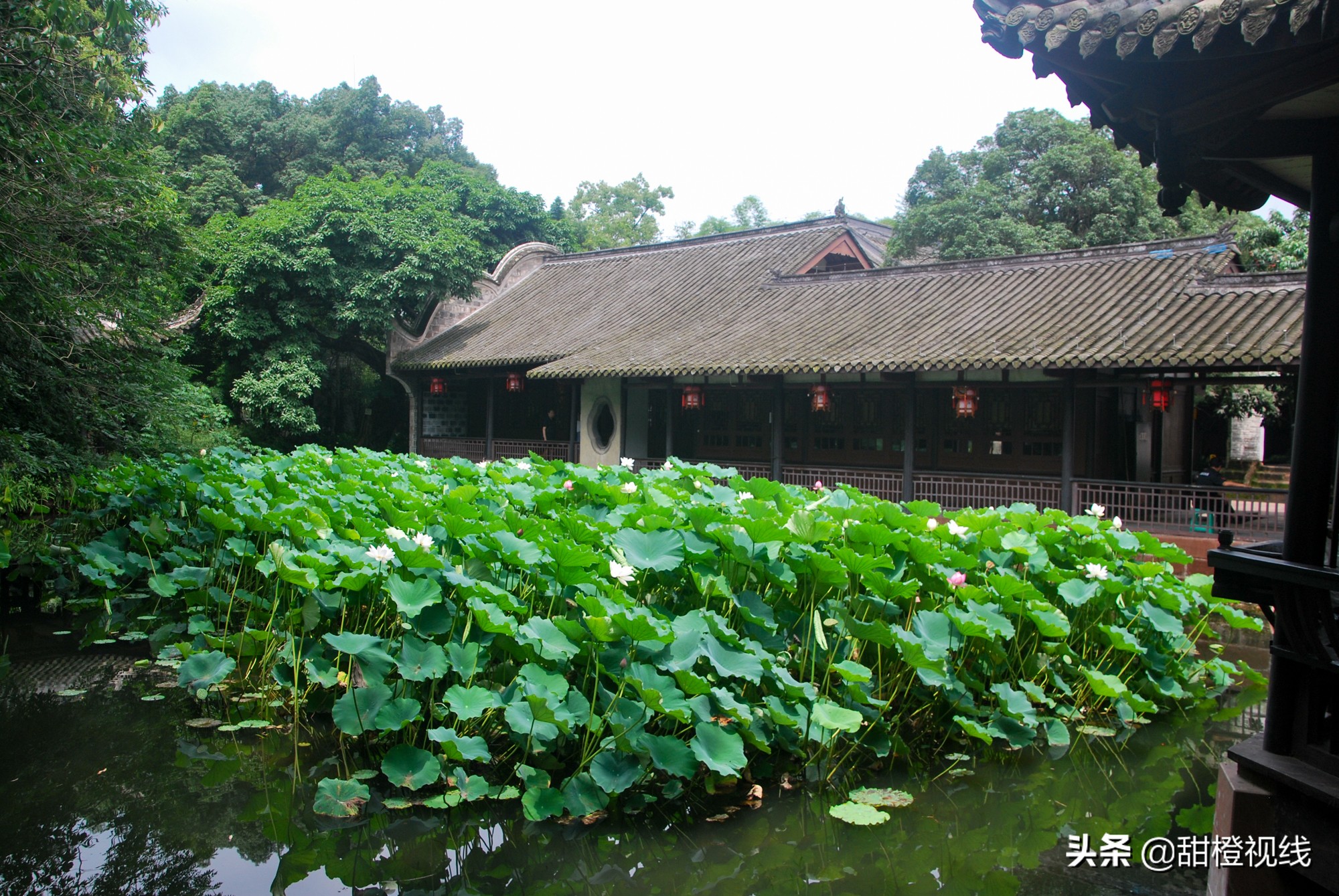 四川眉山的三苏祠,眉山三苏祠有什么故事