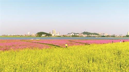 滨江巨变,滨江新城的变化