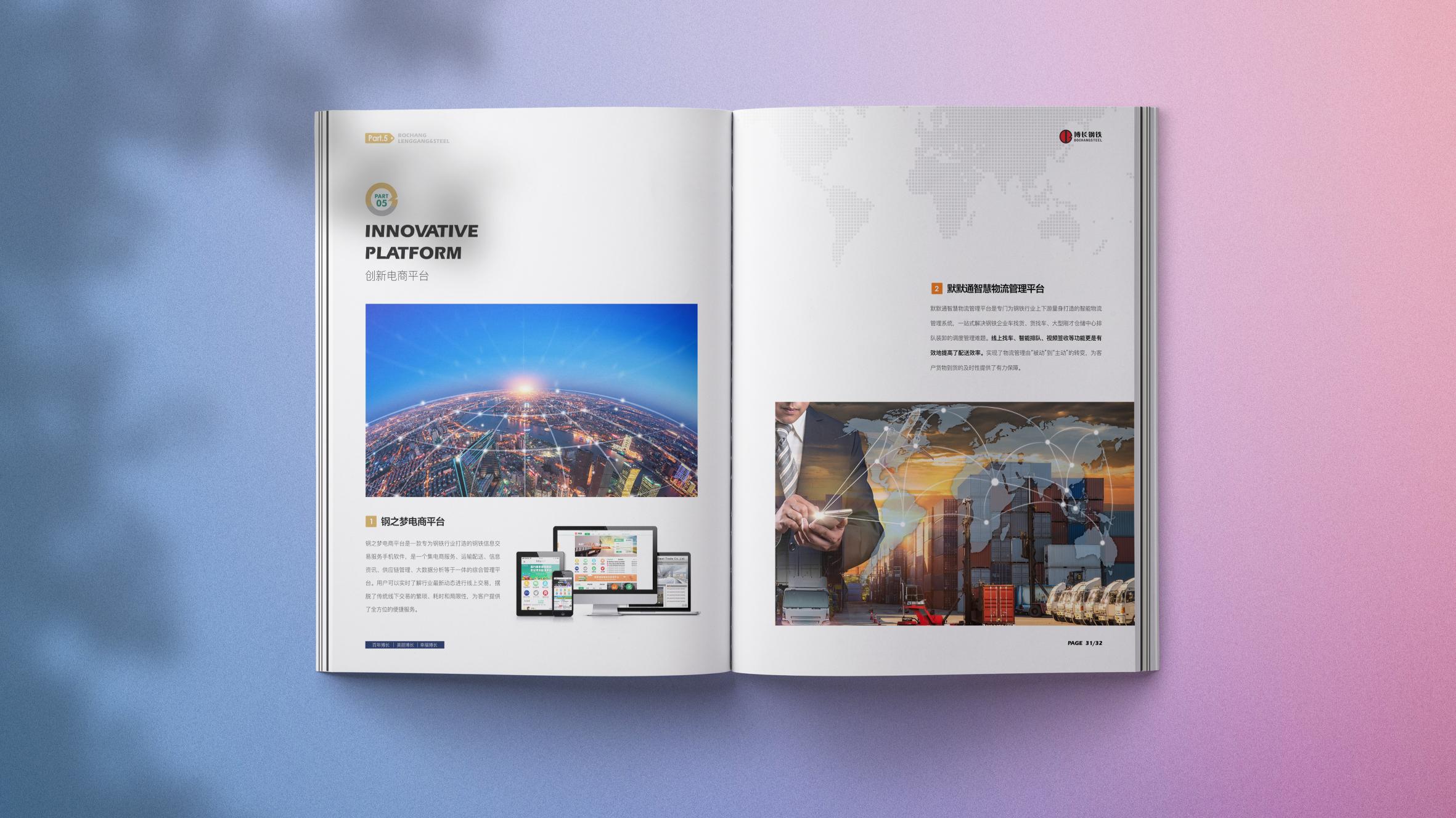 常德博长钢铁贸易有限公司,衡阳博长钢铁贸易有限公司技改