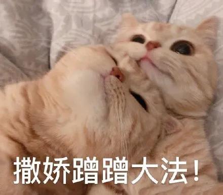 发现男朋友微信小号,发现了男友微信小号