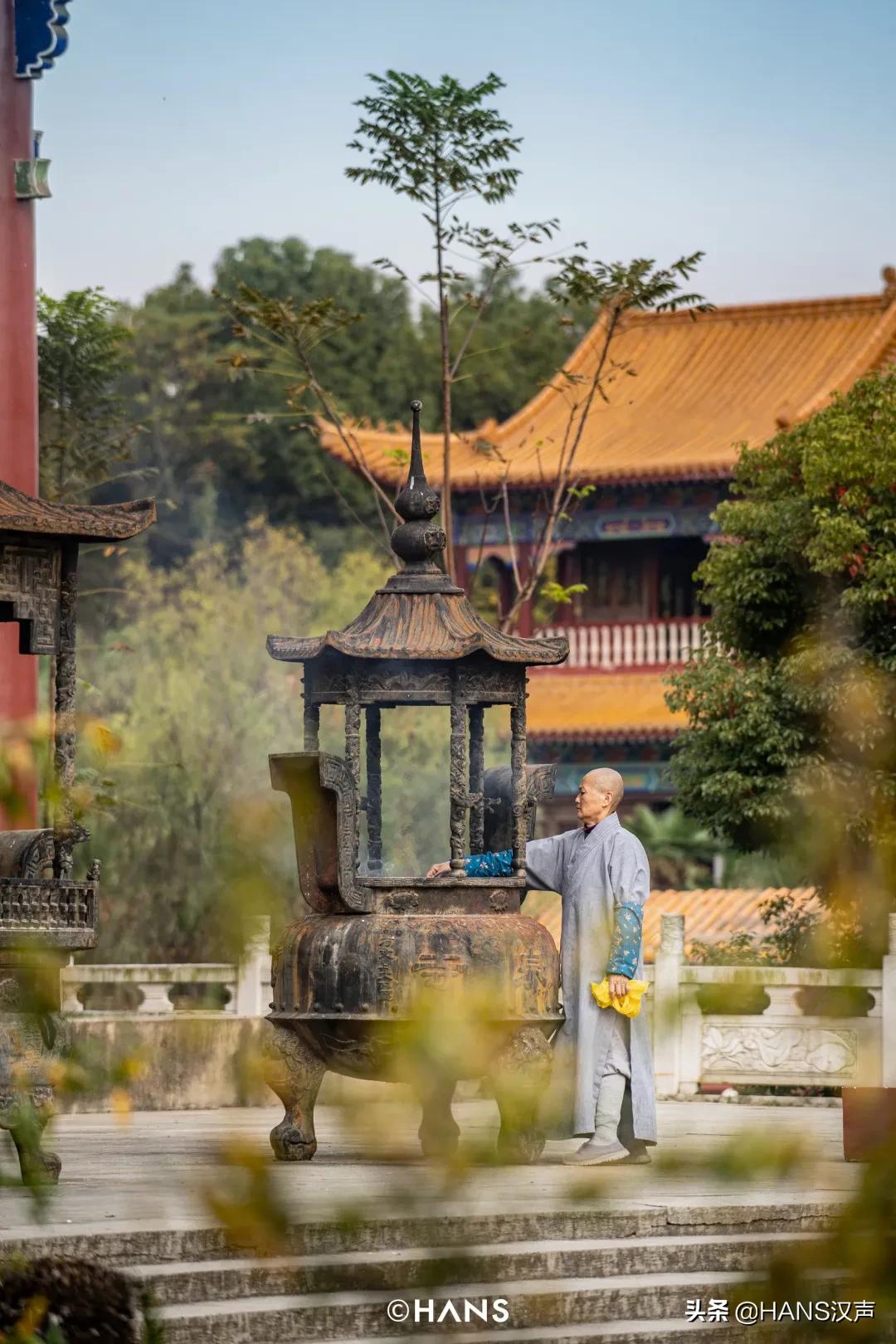 抖音网红为什么出家,灵泉寺武汉短期出家