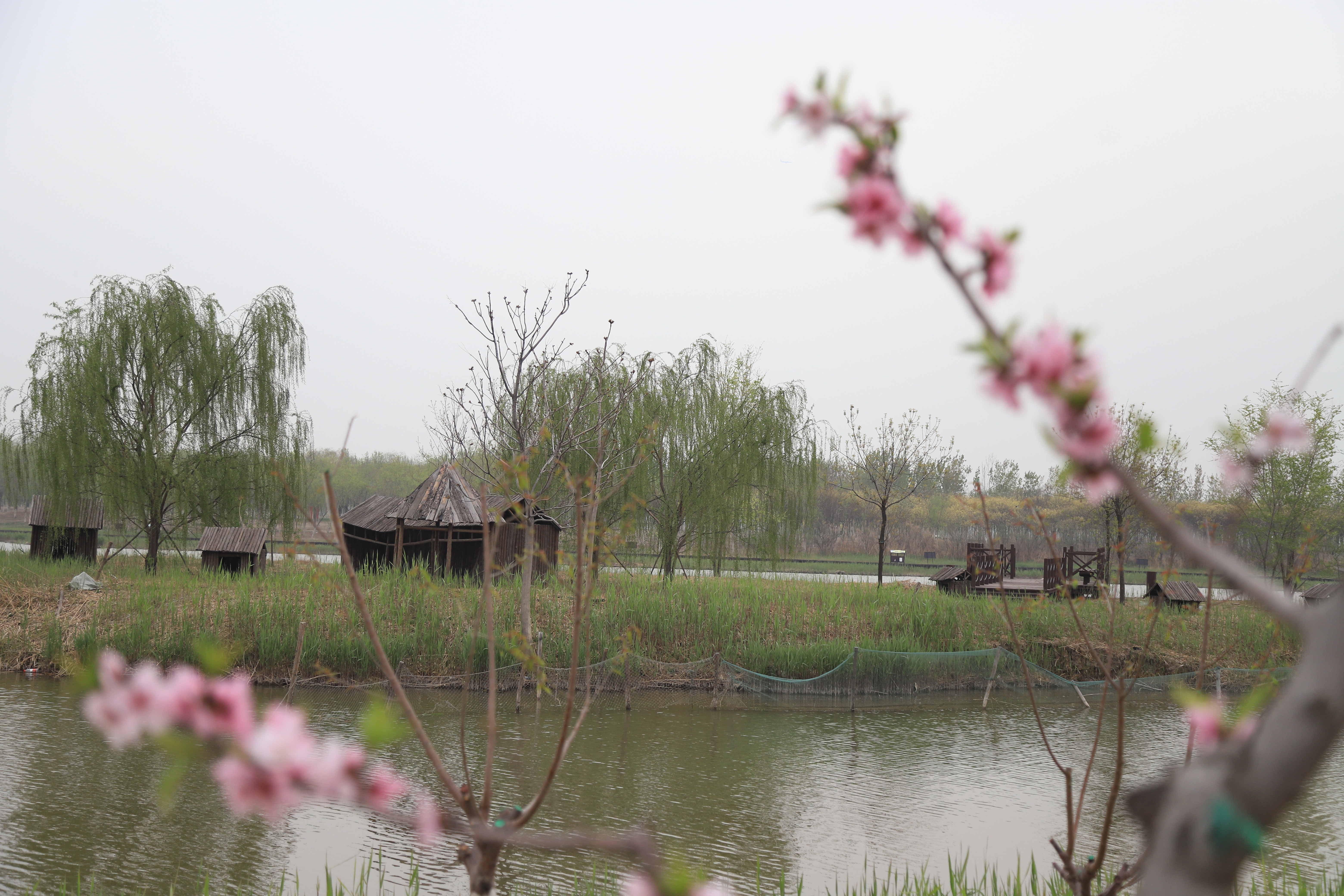 新奇好玩的公园,西青郊野公园开放最新通知