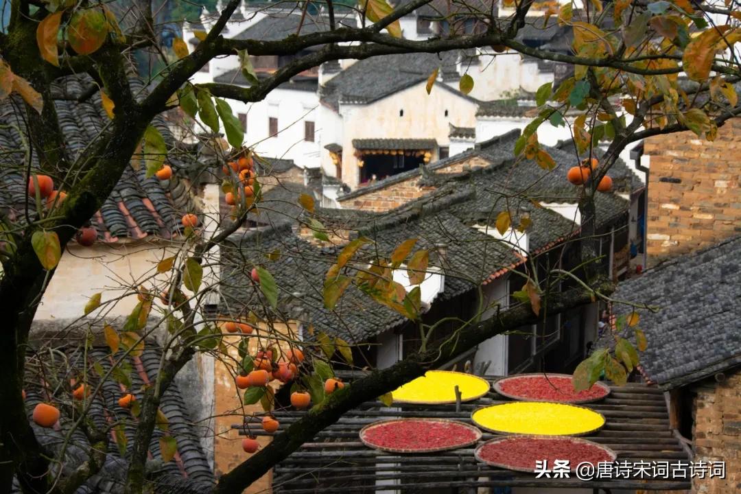 江南烟雨如梦如幻,江南的春如梦如幻