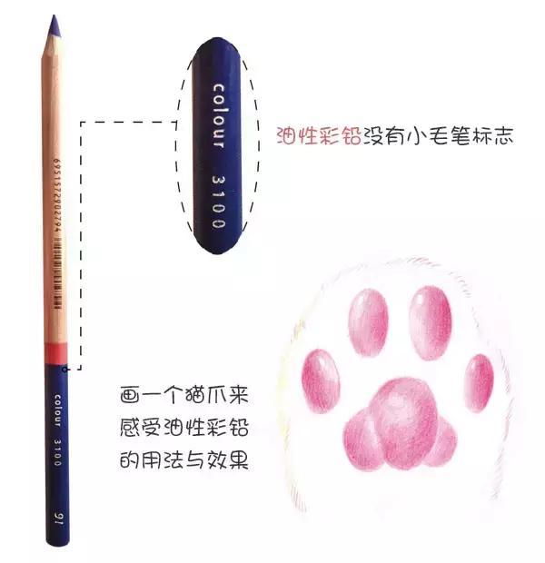 彩铅不会涂色怎么办,彩铅绘画干货