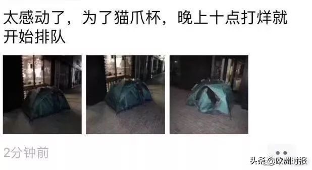 高颜值猫爪杯,猫爪杯双层