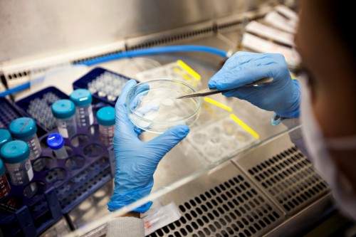 诺维信旗下益生菌爱弗乐，珍弗乐登陆中国助力国内益生菌市场发展