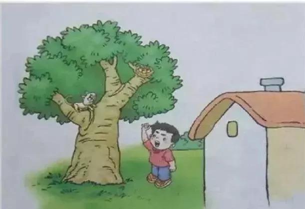 看图写话七大口诀十大句式38篇,求助类看图写话口诀