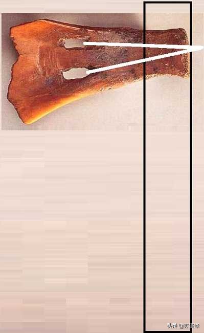 源文析字：天天自称“我”，可知道「我」字最初是什么意思？