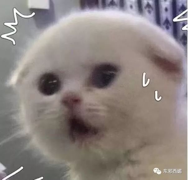 别人是找女友，他是找妈！