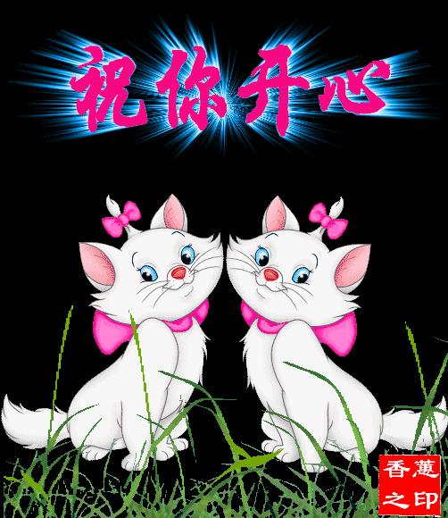 早上好周一快乐问候,早上好喜鹊报喜全家平安