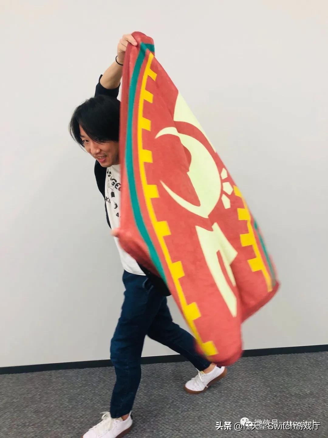 switch国行宝可梦过审,switch更新ns游戏