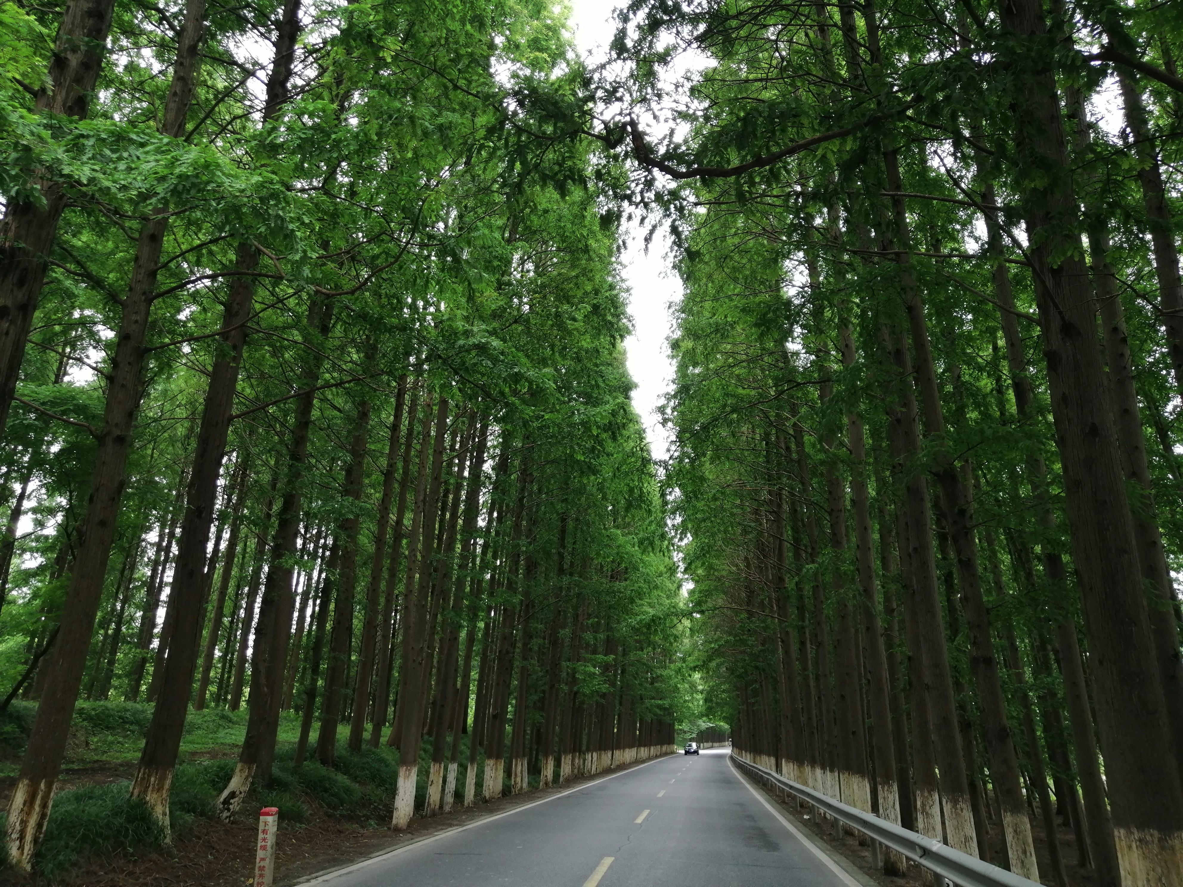 你真的了解宜宾吗,带你了解临港