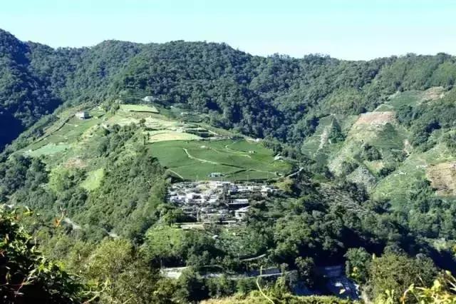 文化创意农业如何融入传统农业,特色农产品展示及农耕文化