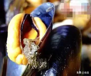 作为一个合格的吃货，首先你要懂得这些……