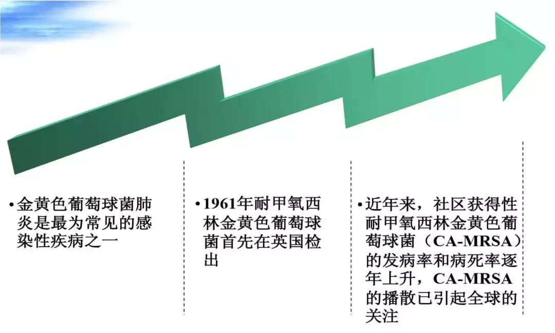 万古霉素用于mrsa的作用机制,万古霉素无效还有什么抗生素可用