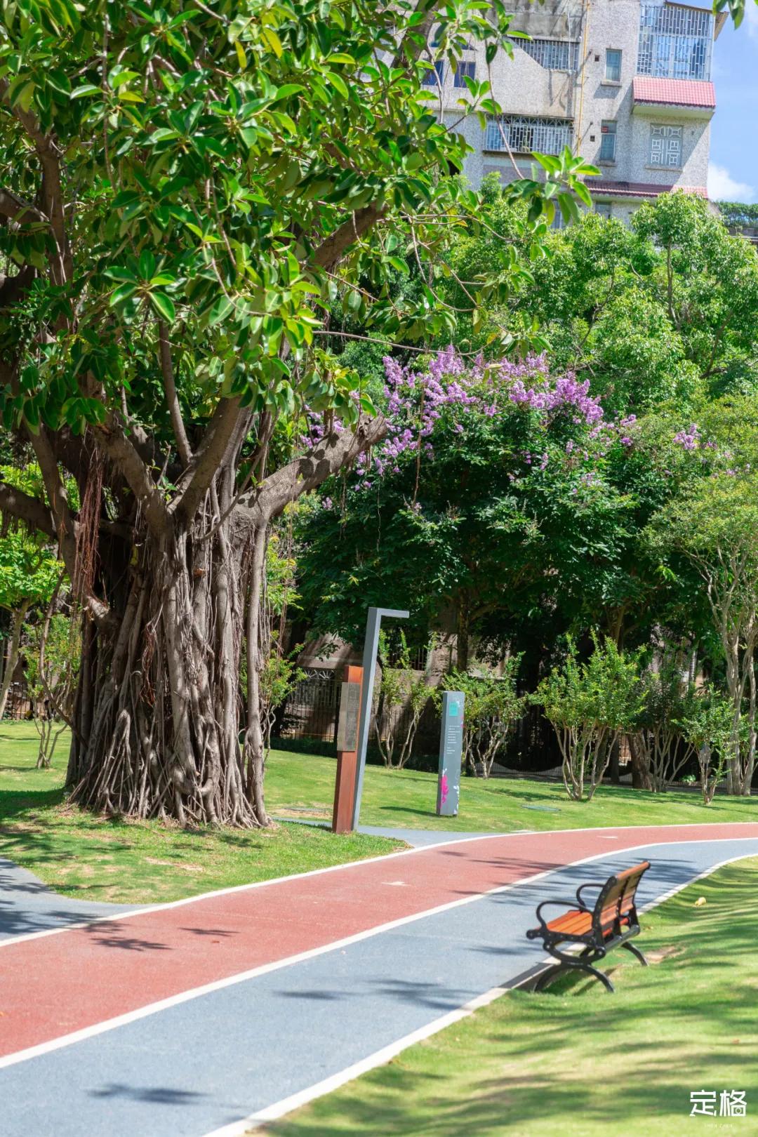 深圳大鹏小众村庄,超小众拍照圣地深圳