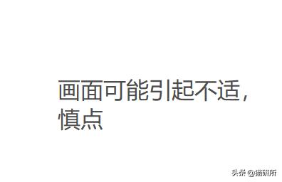 流浪小奶猫被带走猫妈妈会伤心吗,小奶猫会因为什么原因死亡