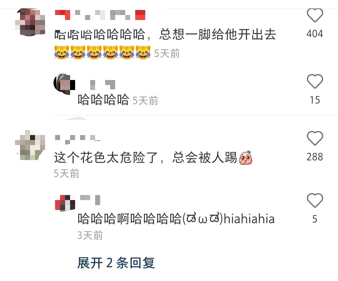 全球罕见足球猫冲上热搜，网友：指定染色！结果......哈哈哈哈