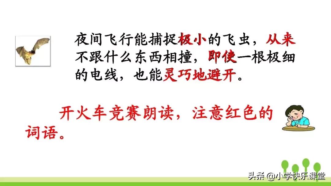 四年级上册语文蝙蝠和雷达课后题,部编版四年级上册语文蝙蝠和雷达