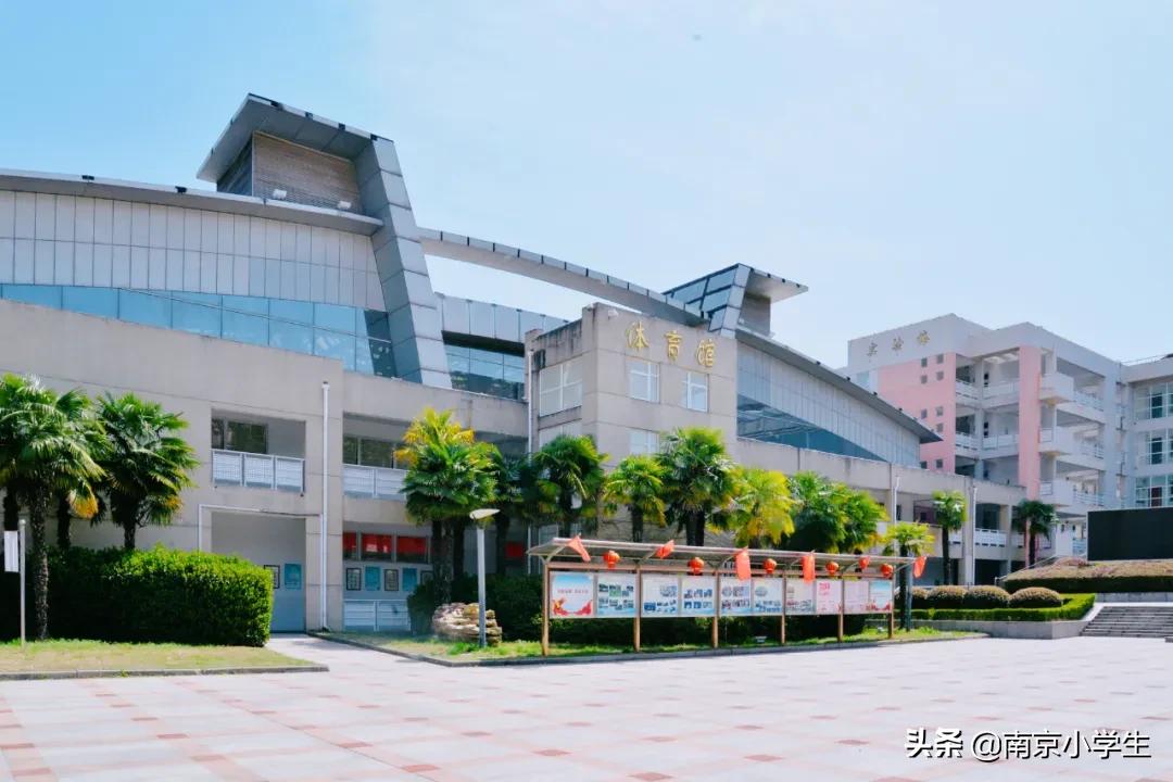 南京十所小学排名,南京10大民办中学