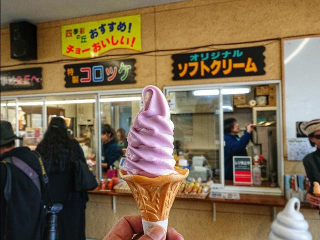 日本从南到北旅游路线,从南游到北