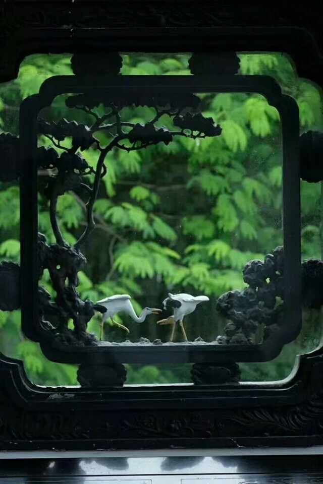 巜以苏轼之名,品味宋代极致美学》——王伟书法之十五