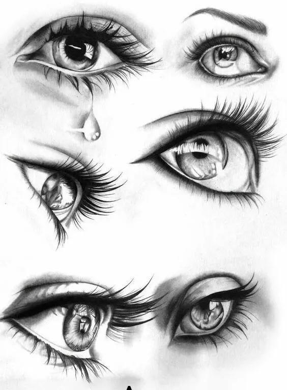 难得一见的动物素描,素描漫画人物超详细的画法