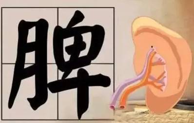 月经过多隐白,月经先期冲任失调