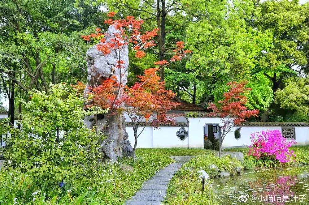 成都值得去的免费景点,成都景点小众游乐场