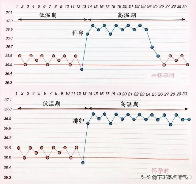 排卵期总出错？那是因为你没有注意这3点