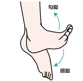 游泳打腿速度练习,游泳打脚发力