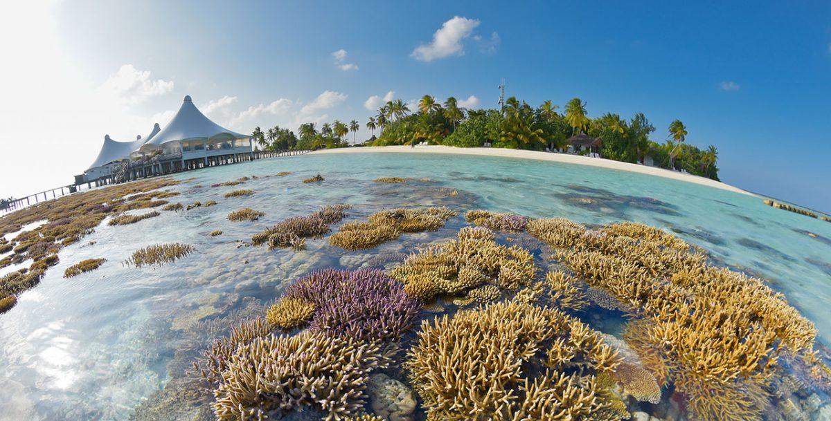 马尔代夫萨芙莉岛排名,马尔代夫萨芙丽岛