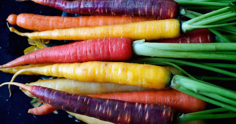 你知道胡萝卜是怎么来的吗,胡萝卜的演化史