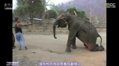 9.4分韩国催泪电视剧,韩国十部9.5评分催泪电影